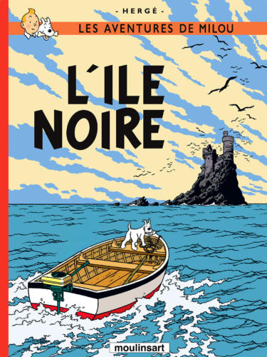 6B Ile noire copie