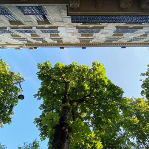 Paris - Boulevard Pereire ©Nicolas Bonnell