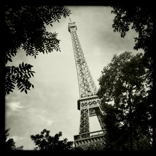 Tour Eiffel - ©Nicolas Bonnell