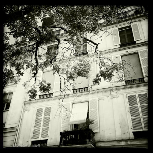 Quais de Seine - ©Nicolas Bonnell