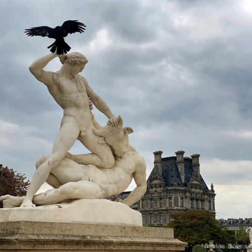 Paris - Jardin des tuileries - ©Nicolas Bonnell