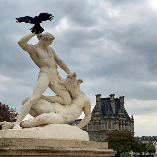 Jardin des tuileries2