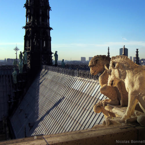 Paris - Notre Dame - ©Nicolas Bonnell