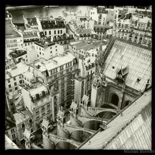 Paris - Notre dame - ©Nicolas Bonnell