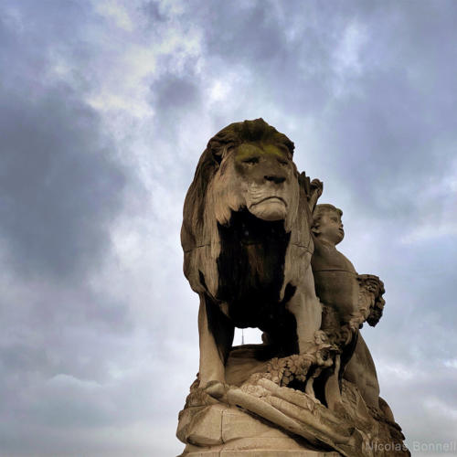 Paris - Pont Alexandre 3 - ©Nicolas Bonnell